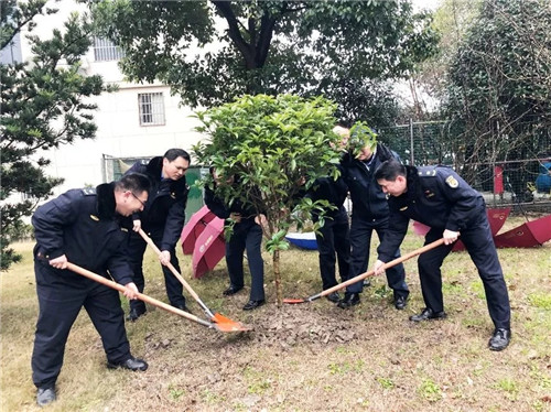 學雷鋒 植綠樹4.webp_副本.jpg