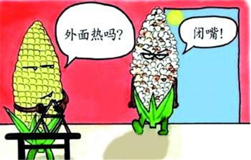 高溫降暑 (2)_副本.jpg