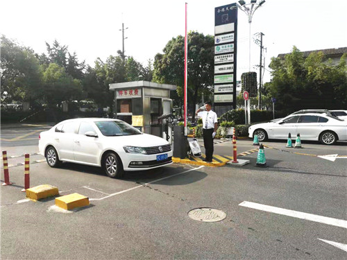 37度炙烤下的井然有序，是因為有他們……
