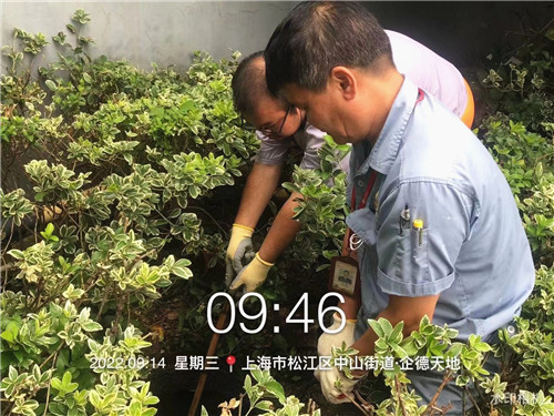 臺風2_副本.jpg