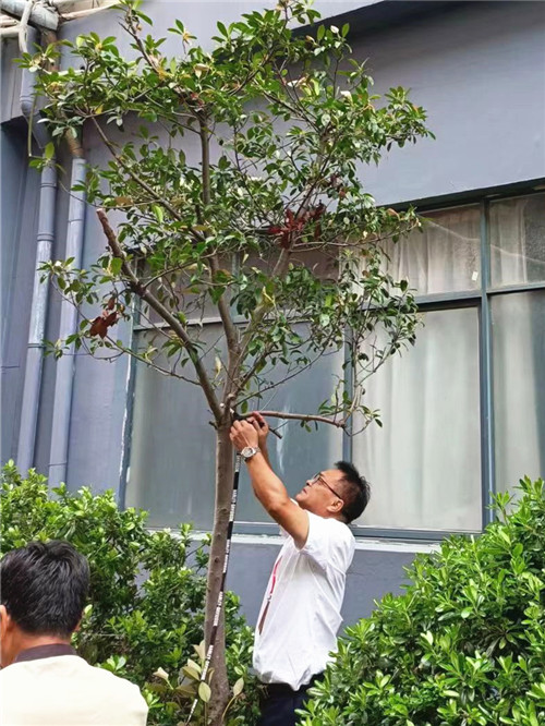 倍增-綠化2_副本1.jpg